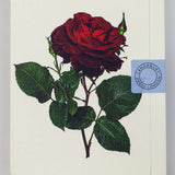Red Rose Notecard