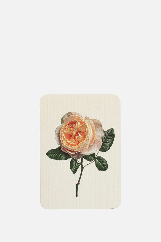 Soft Peach Rose Notecard