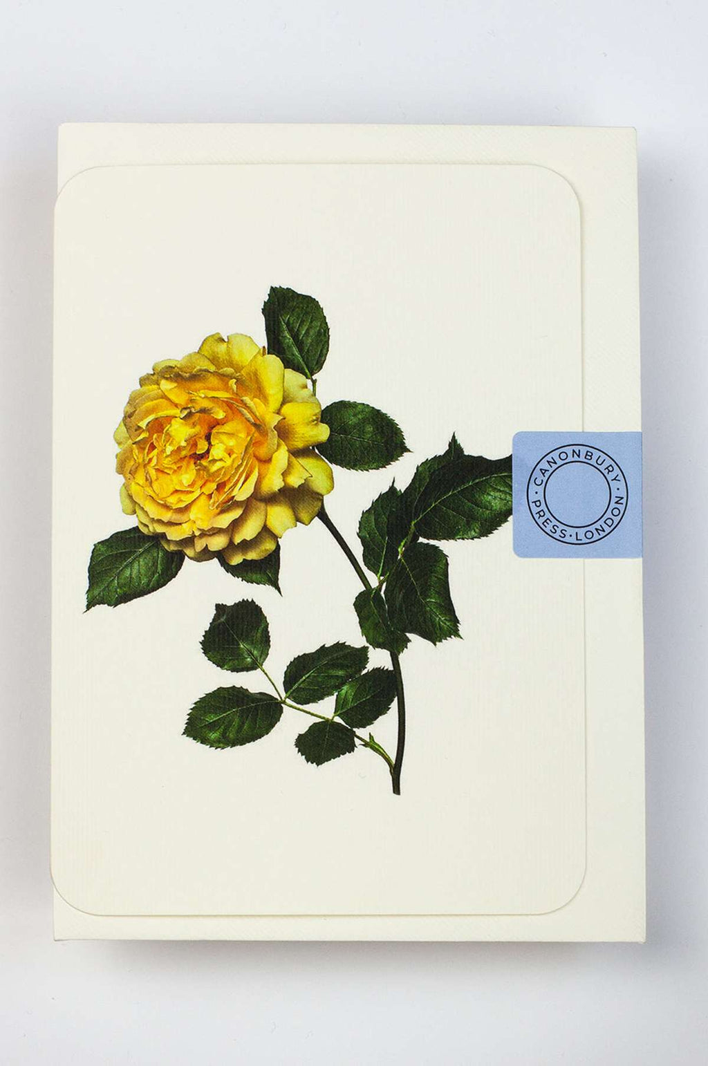 Yellow Rose Notecard
