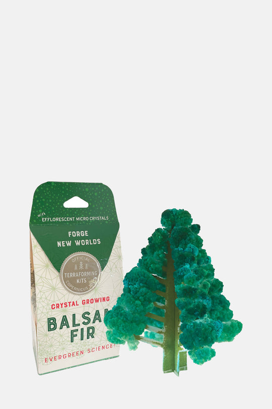Crystal Growing Balsam Fir