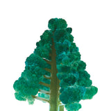 Crystal Growing Balsam Fir