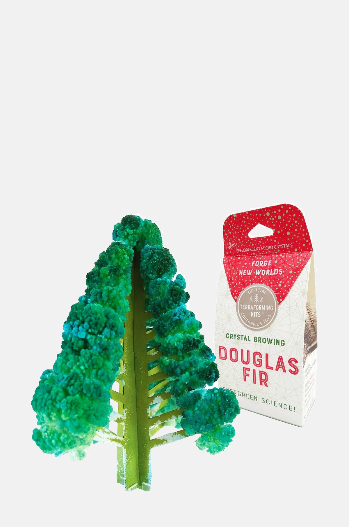 Copernicus Toys Crystal Growing Douglas Fir.