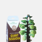 Copernicus Toys Crystal Growing Giant Sequoia.