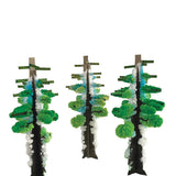 Crystal Growing Redwood Forest