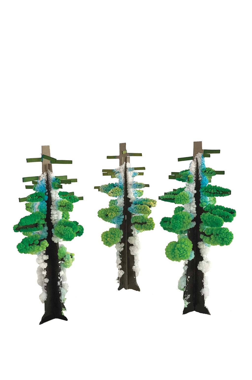 Crystal Growing Redwood Forest