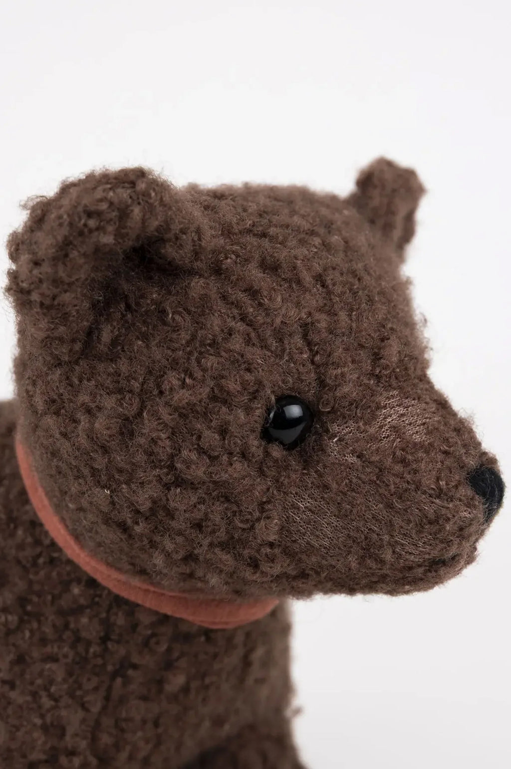 Pull-Along Raoul Bear