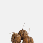 Fallow Candles Walnut Candles 3pk.