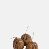 Fallow Candles Walnut Candles 3pk.