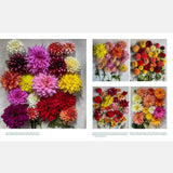Life With Flowers