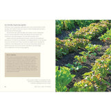 Grow Together: 50 Planting Partnerships