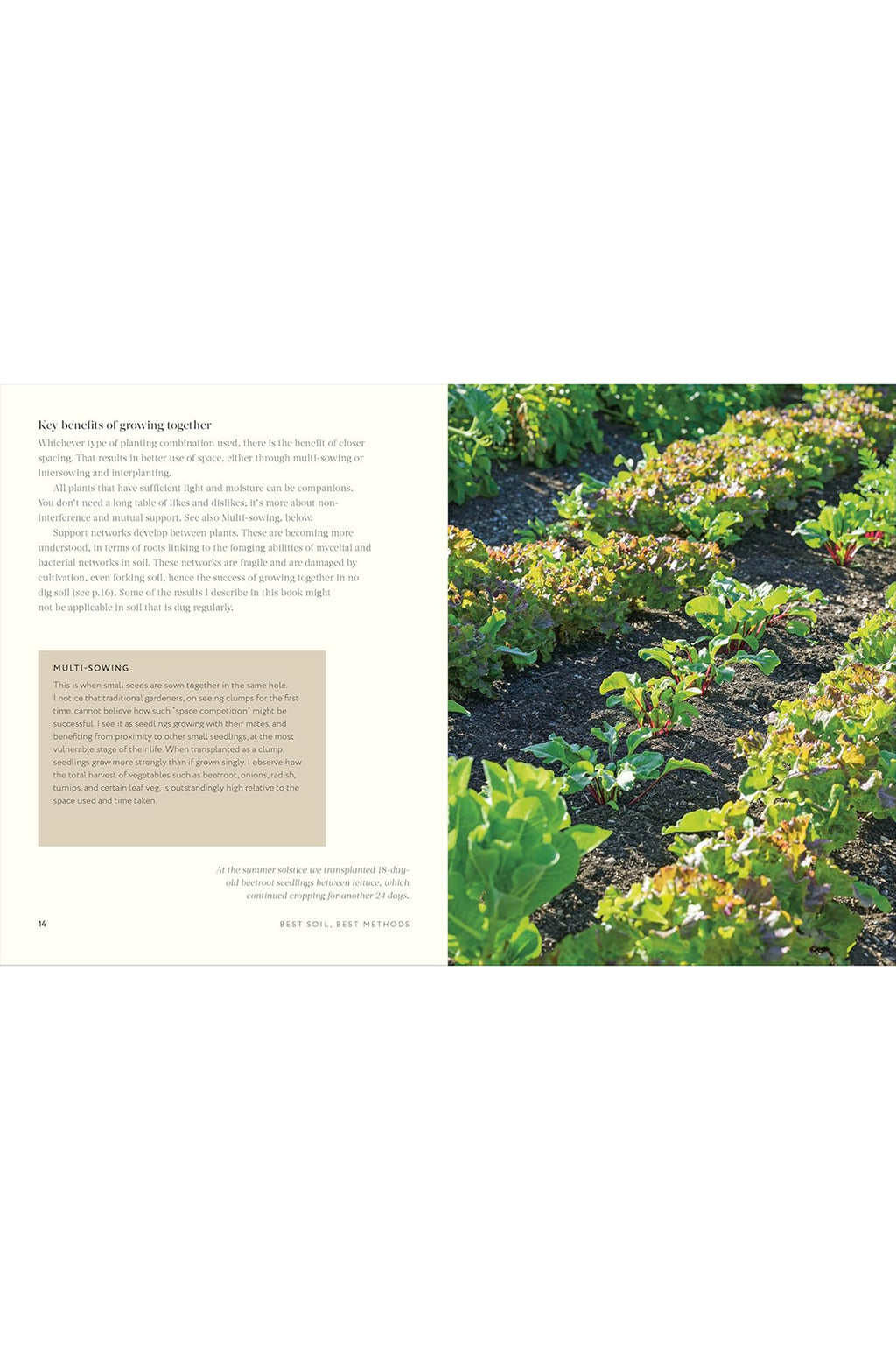 Grow Together: 50 Planting Partnerships