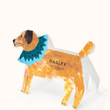 Betty Dog