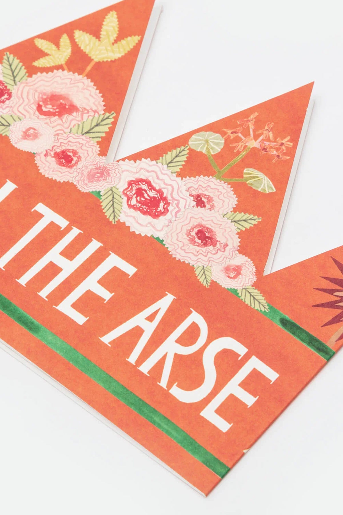 Pain In The Arse Party Hat