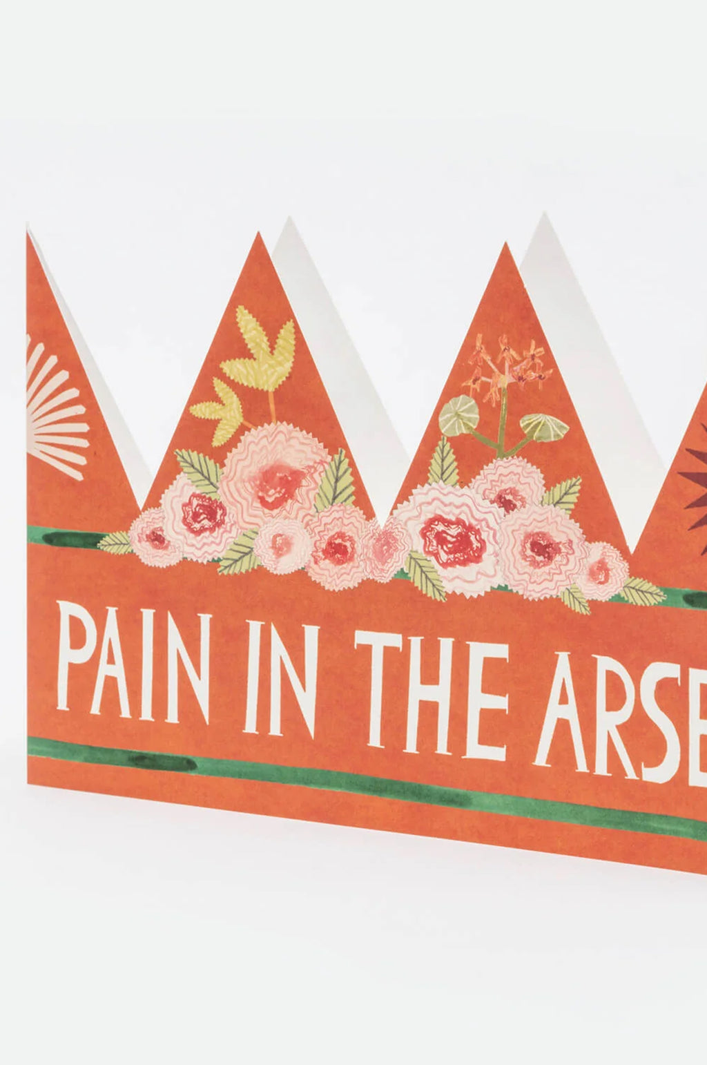 Pain In The Arse Party Hat