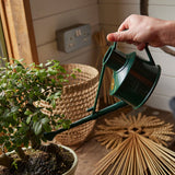 Langley Sprinkler Green