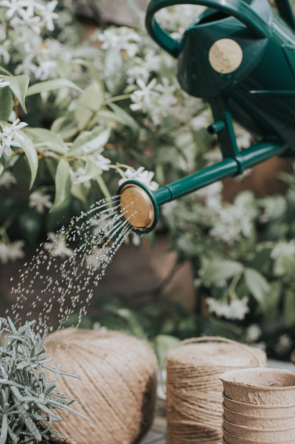 The Bartley Burbler Green