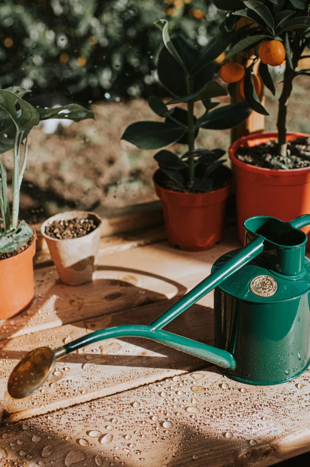 Haws England 2 Gallon Long Reach Watering Can in Green