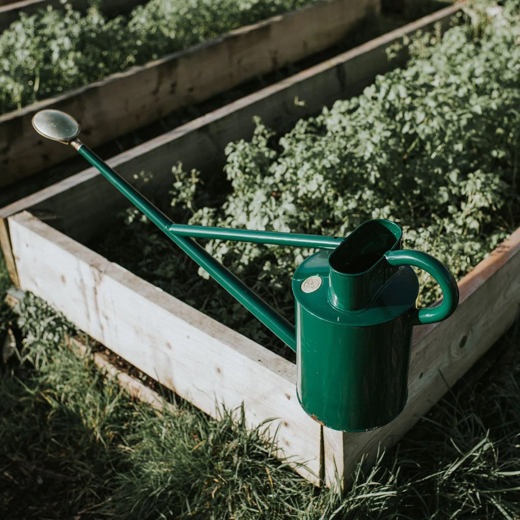 Haws The Warley Fall Watering Can Green – The Hambledon