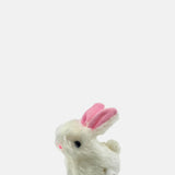 House of Marbles Wind Up Hoppity Bunnies.