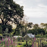 How Does Your Garden Grow?