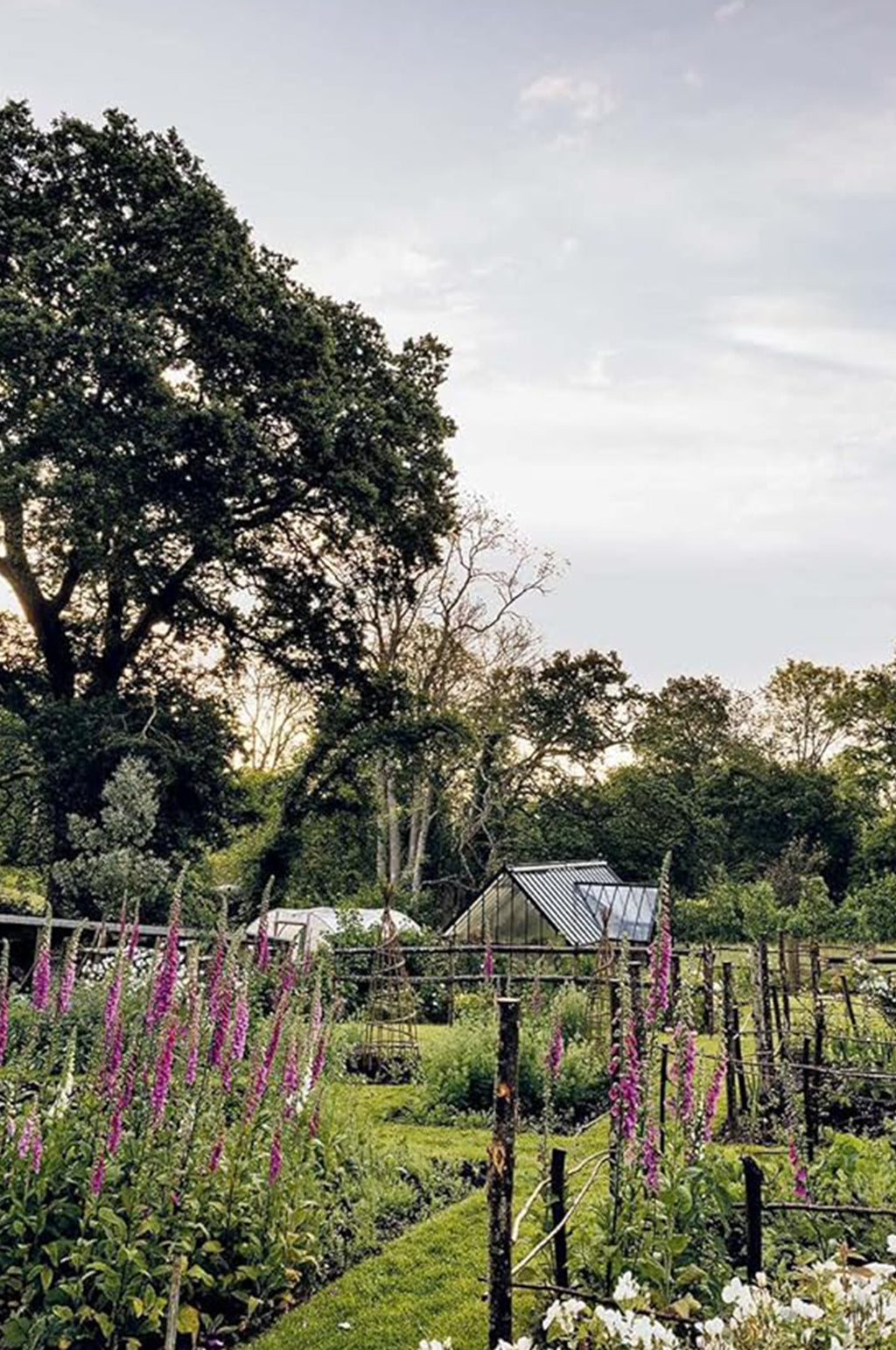 How Does Your Garden Grow?