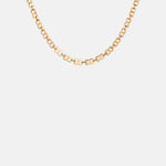 Jenny Bird Rome Gold Chain Necklace.
