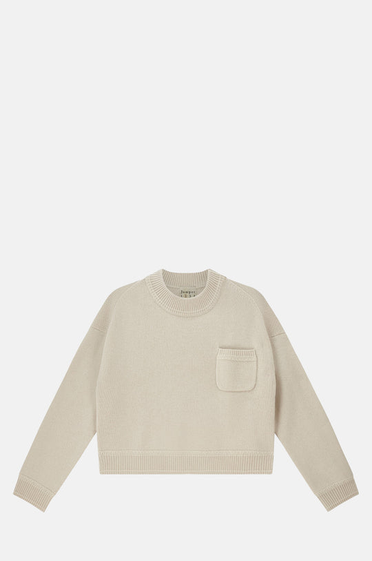 Heavy Pocket Turtle Limestone