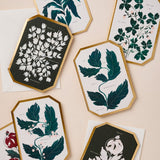 Have the Happiest of Birthdays Die Cut Card