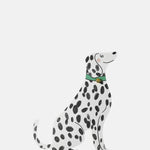 Kitty Kenda Sitting Dalmation Shaped Greeting Card.