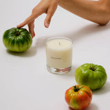 Liane de Tomato Candle