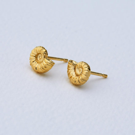 A.M. Small Ammonite Stud Earrings Gold