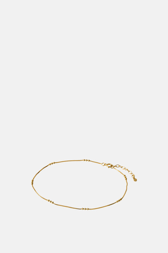 Eva Gold Anklet