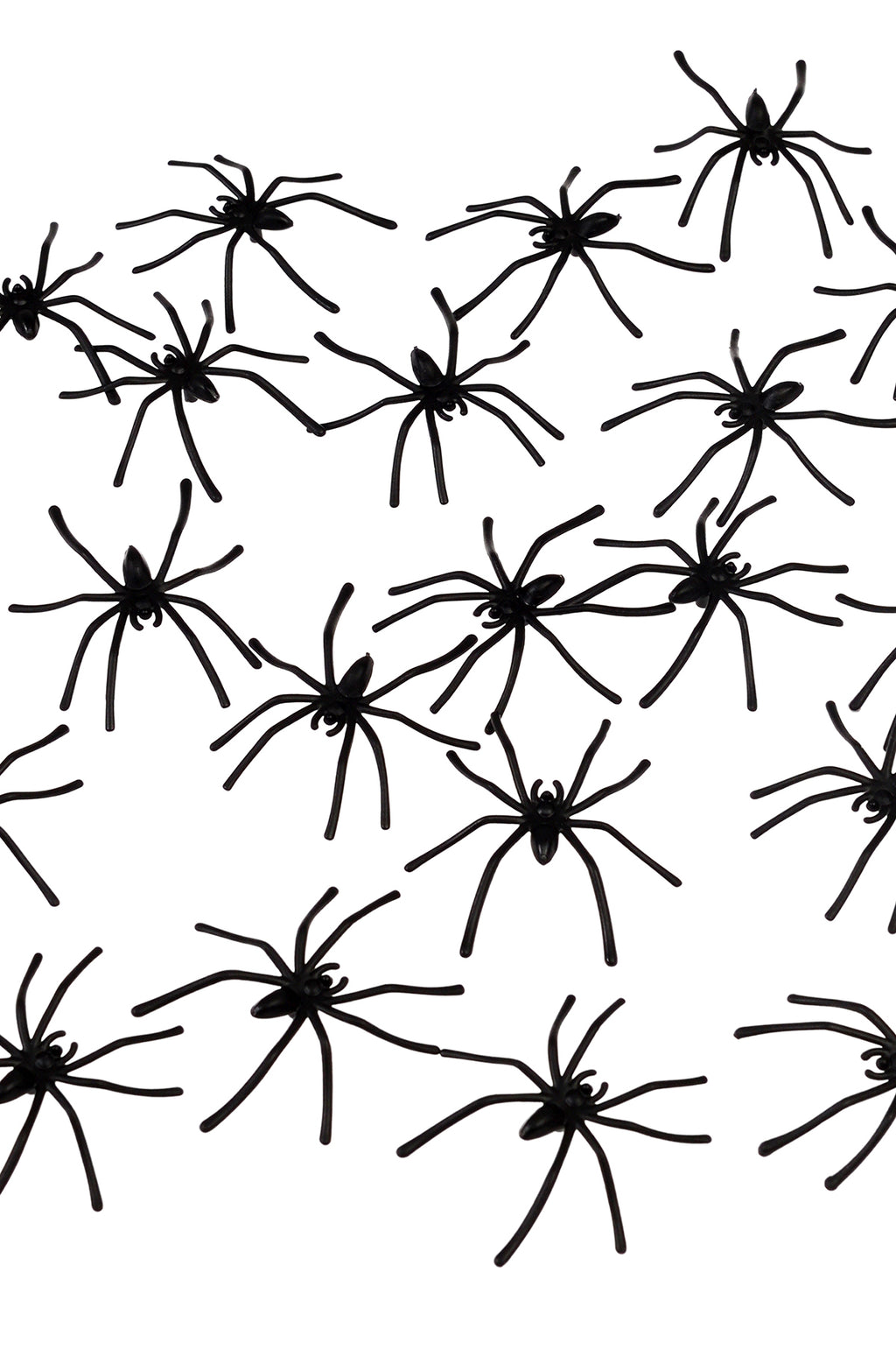 Box Of 20 Spiders