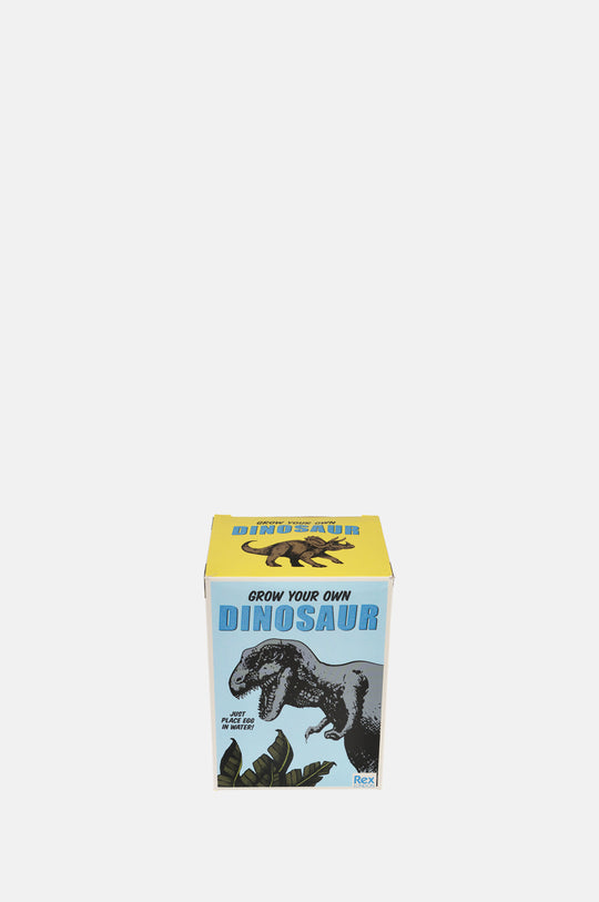 Giant Hatching Dinosaur Egg