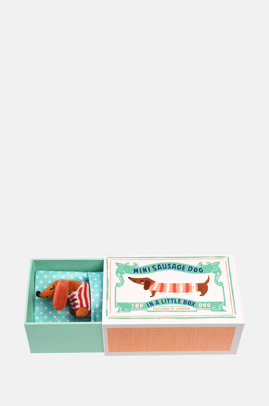 Mini Sausage Dog In A Little Box