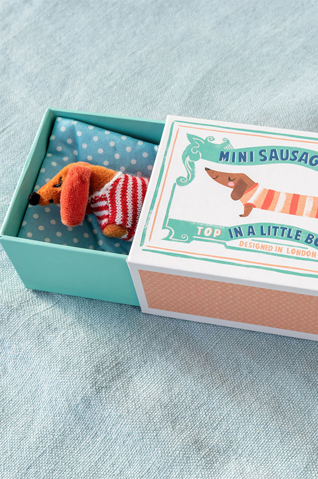 Mini Sausage Dog In A Little Box