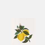 Rifle Paper Co Lemon Blossom Card.