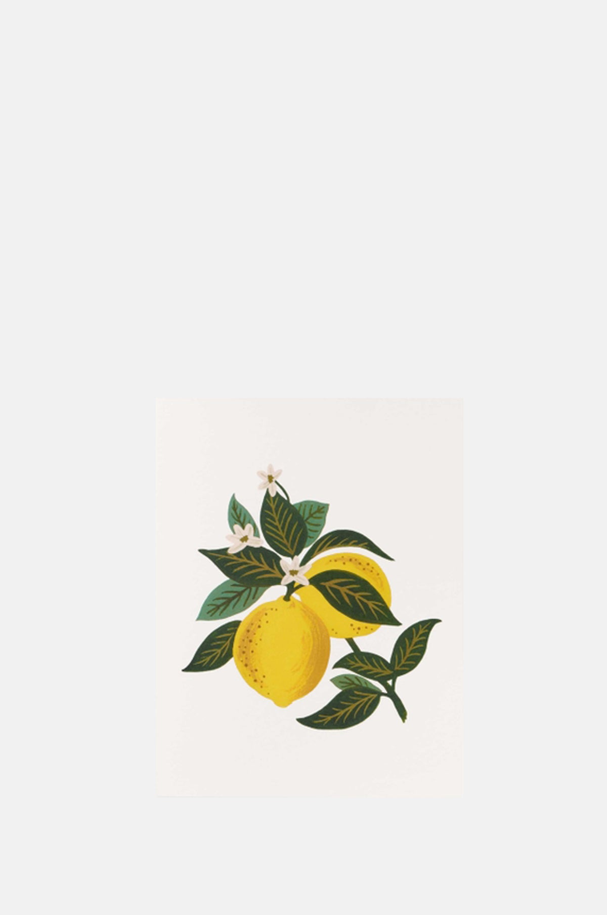 Rifle Paper Co Lemon Blossom Card.