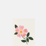 Rifle Paper Co Wild Prairie Rose Card.