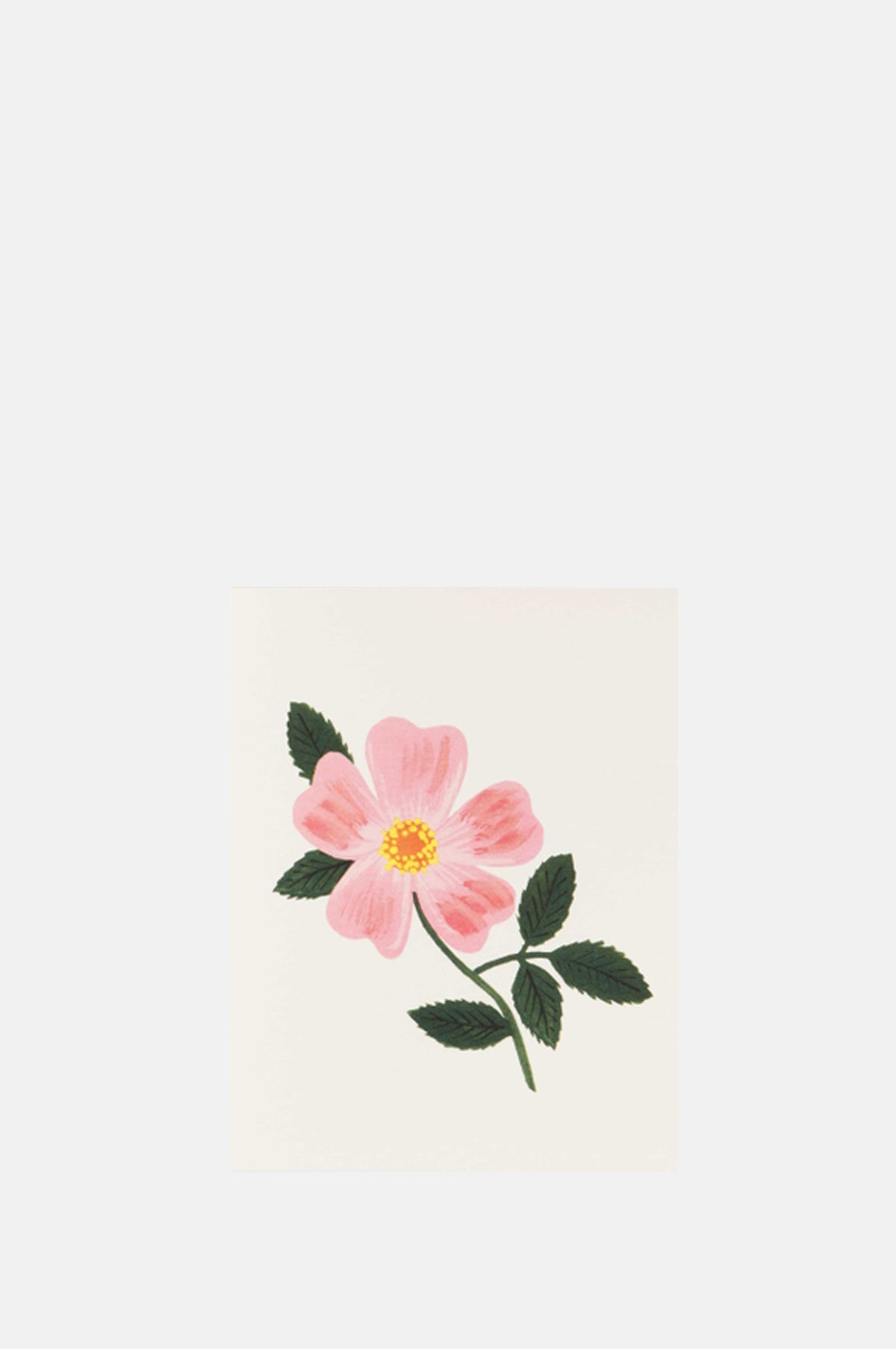 Rifle Paper Co Wild Prairie Rose Card.
