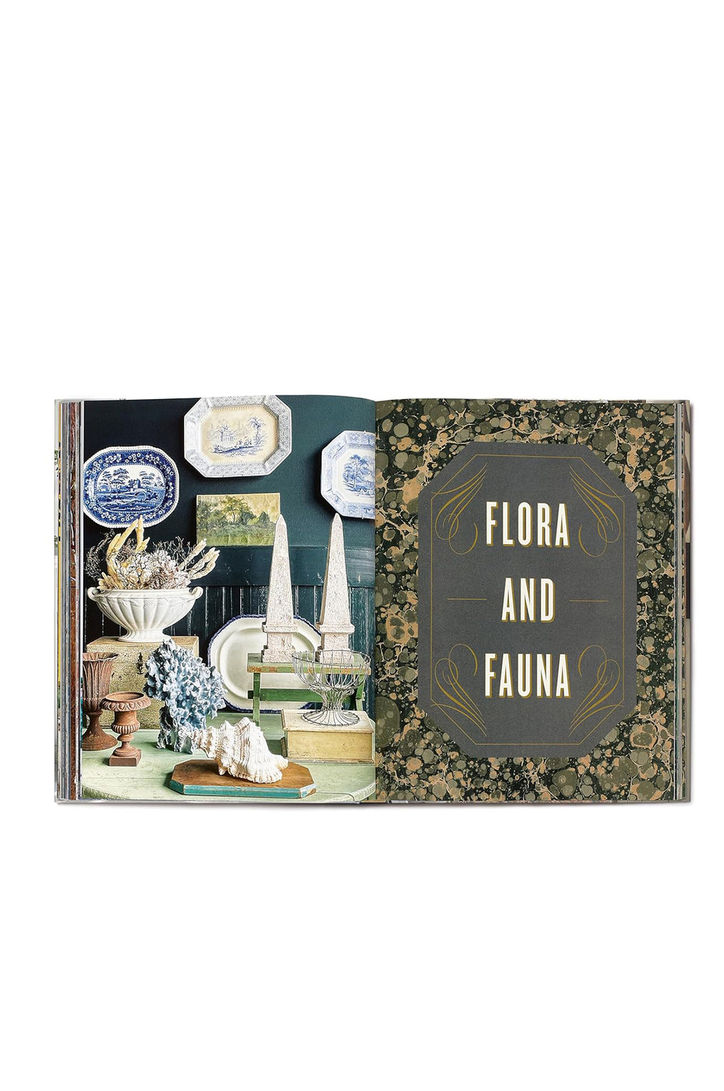 Sean Scherer's Vignettes