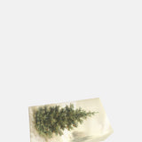 Skona Ting Fir Tree Forest Soap Bar 200g.
