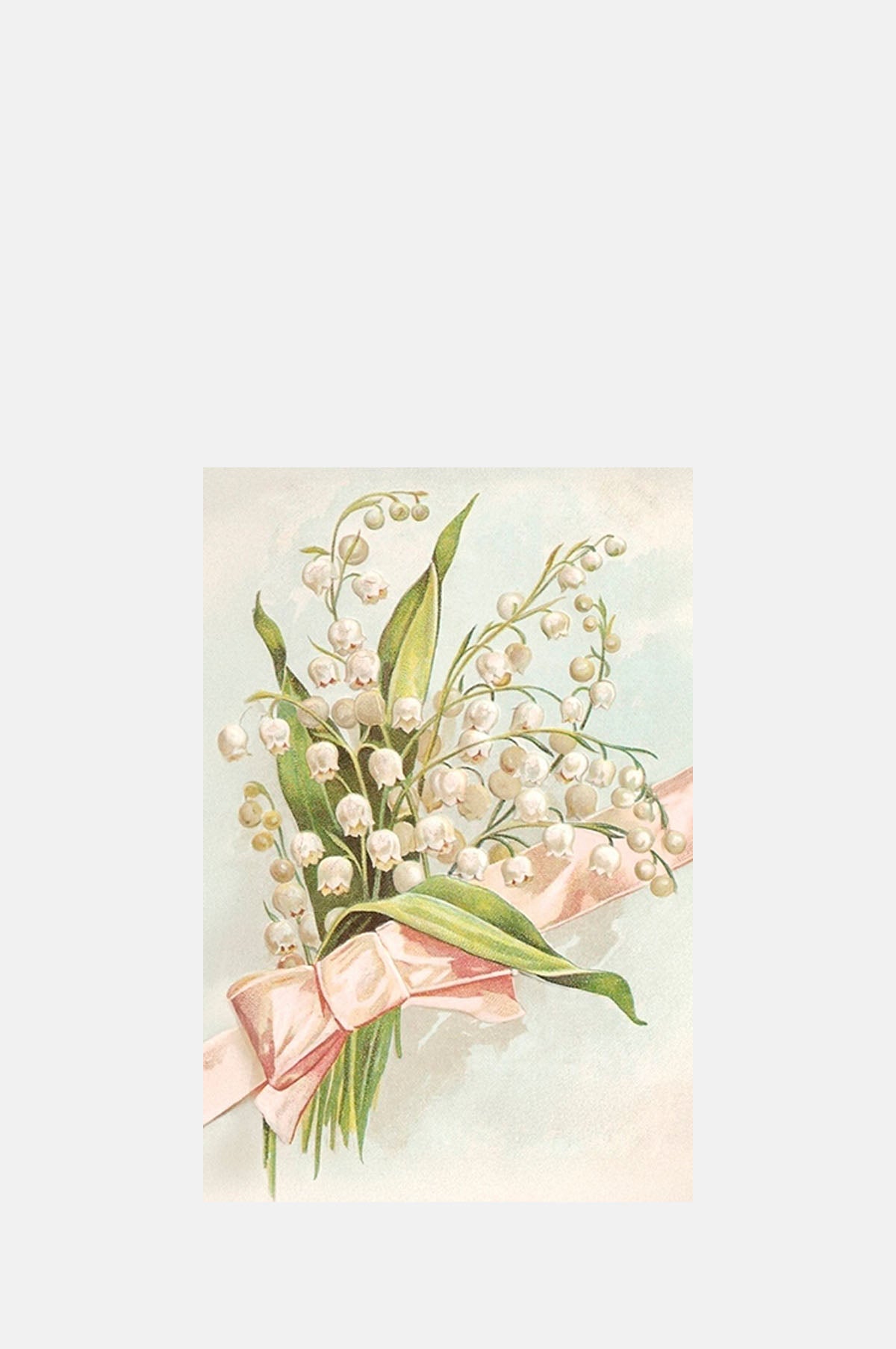 Skona Ting Lily of the Vallry Postcard.