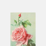 Skona Ting Pink Rose Poscard.