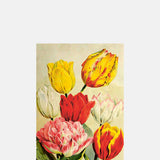 Skona Ting Seven Tulips Postcard.