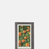 Sting in the Tail Garden Flowers Label Soap African Marigolds.