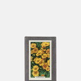 Sting in the Tail Garden Flowers Label Soap Coreopsis.