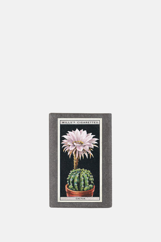Vintage Pot Plants Label Soap Cactus