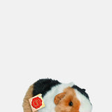 Teddy Hermann Guinea Pig.