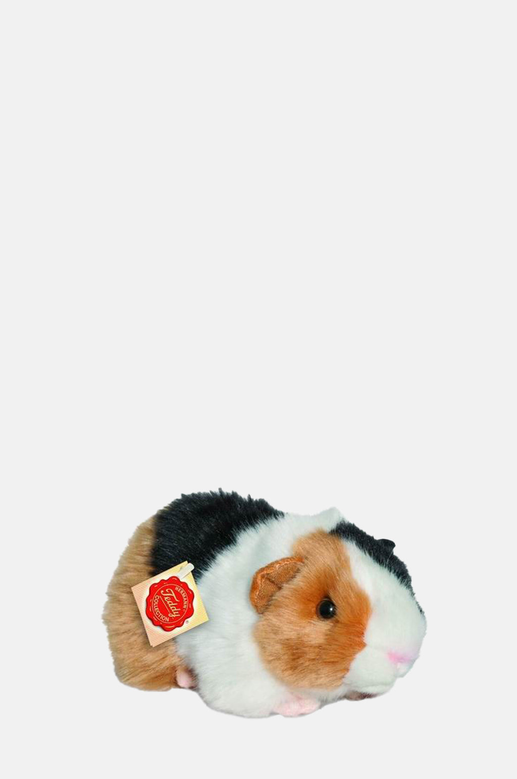 Teddy Hermann Guinea Pig.